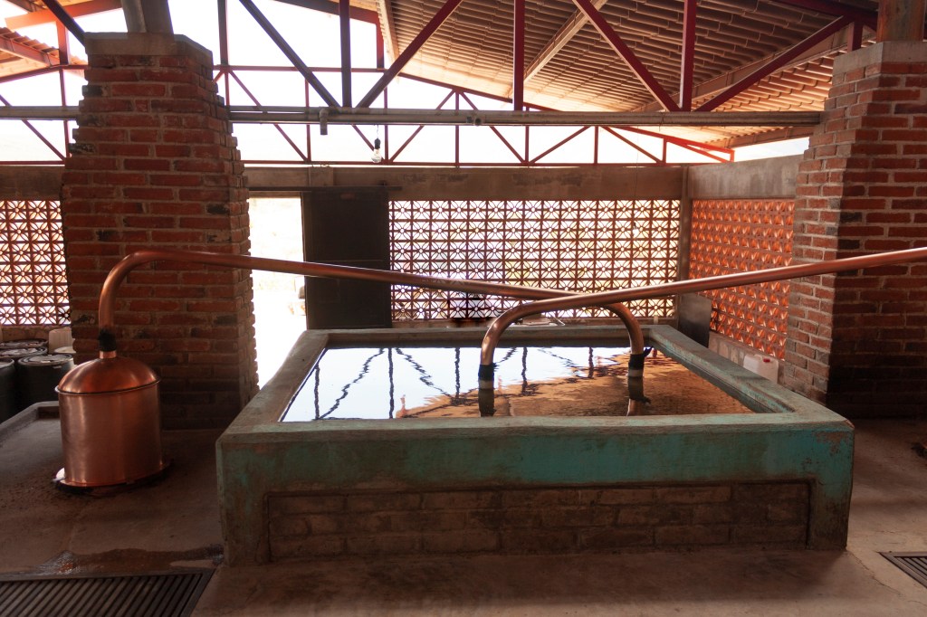 distilling mezcal