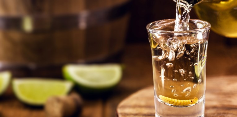 tequila or mezcal poured into shot glass