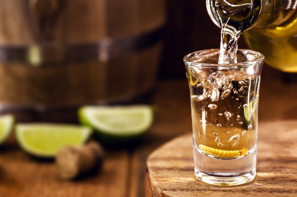 tequila or mezcal poured into shot glass